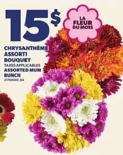 Provigo Chrysanthème assorti bouquet offer