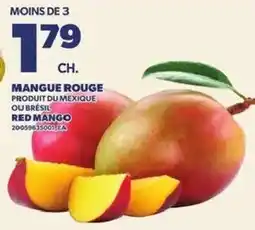 Provigo Red mango offer