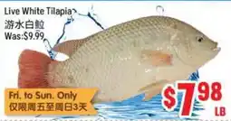 FreshLand Supermarket Live White Tilapia offer