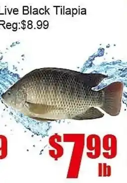 New Pacific Supermarket Live Black Tilapia offer
