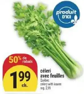 Marché Adonis celeri avec feuilles offer
