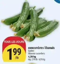 Marché Adonis concombres libanais offer
