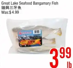 Fresh Value Great Lake Seafood Bangamary Fish offer