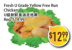 Full Fresh Supermarket Fresh U Grade Yellow Free Run Chicken offer