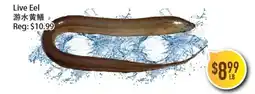 Full Fresh Supermarket Live Eel offer