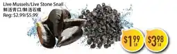 Full Fresh Supermarket Live Mussels/Live Stone Snail offer