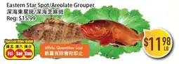 Full Fresh Supermarket Eastern Star Spot/Areolate Grouper offer