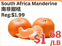 Farm Fresh Supermarket South Africa Manderine offer