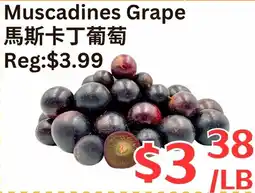 Farm Fresh Supermarket Muscadines Grape offer