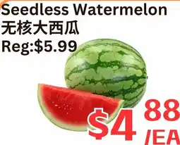 Farm Fresh Supermarket Seedless Watermelon offer