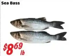 Nations Fresh Foods Sea Bass offer