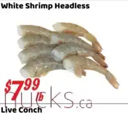 Nations Fresh Foods White Shrimp Headless offer