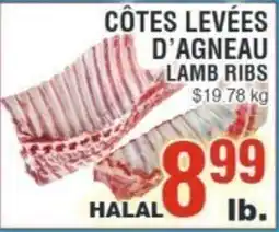 Akhavan Lamb Ribs offer