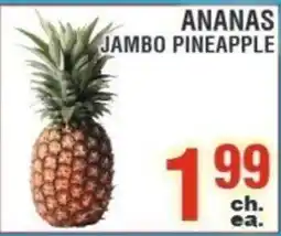 Akhavan Jambo pineapple offer