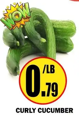 Alnejmah Curly Cucumber offer