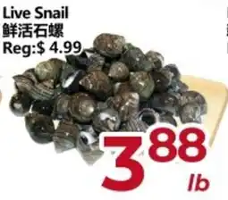 Asian Food Centre Live Snail offer