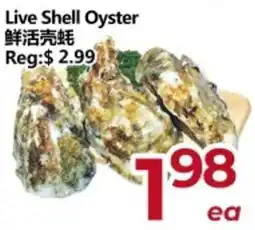Asian Food Centre Live Shell Oyster offer