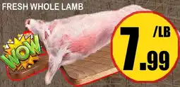 Alnejmah Fresh whole lamb offer