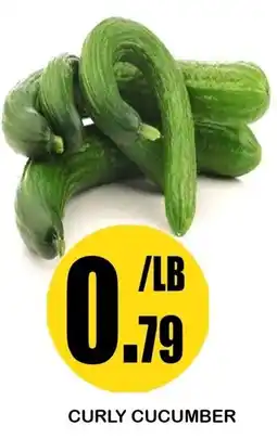 Alnejmah Curly Cucumber offer