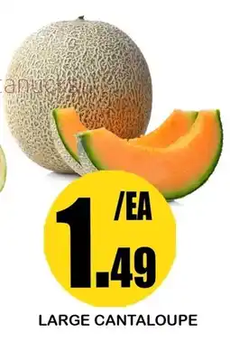 Alnejmah Large Cantaloupe offer