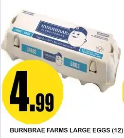 Alnejmah Burnbrae Farms Large Eggs offer