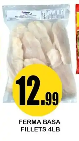 Alnejmah Ferma Basa Fillets offer