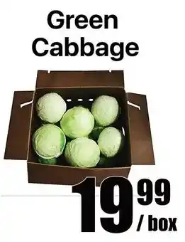 Green Cabbage