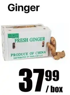 Aigoo Foodmart Ginger offer