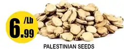 Alnejmah Palestinian seeds offer