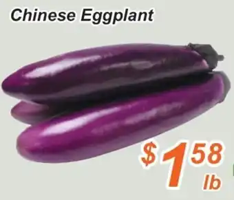 Chinese Eggplant