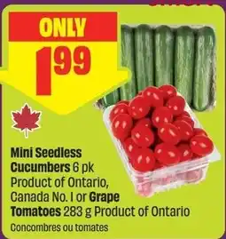 FreshCo Mini Seedless Cucumbers or Grape Tomatoes offer