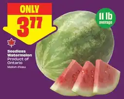 FreshCo Seedless Watermelon offer