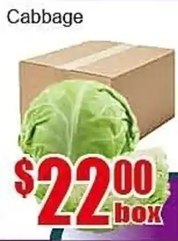 New Pacific Supermarket Cabbage offer
