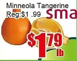New Pacific Supermarket Minneola Tangerine offer