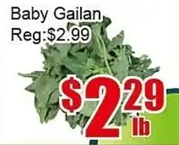 New Pacific Supermarket Baby Gailan offer