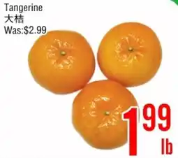 Fresh Value Tangerine offer