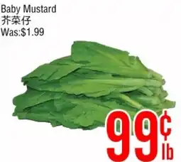 Fresh Value Baby Mustard offer