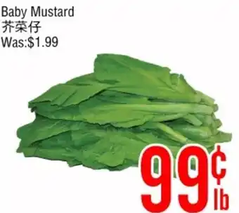 Baby Mustard