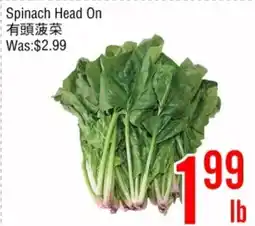 Fresh Value Spinach Head On offer