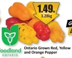 Starsky Foodland Ontario Grown Red, Yellow and Orange Pepper offer
