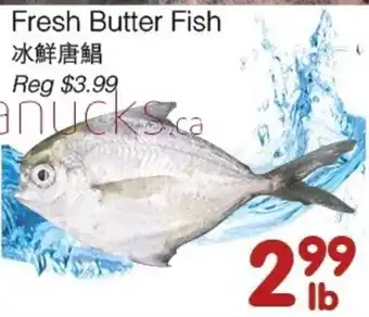 Fresh Butter Fish