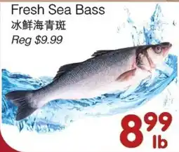 Bravo Fresh Foods Fresh Sea Bass offer