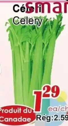 Marche C&T Celery offer