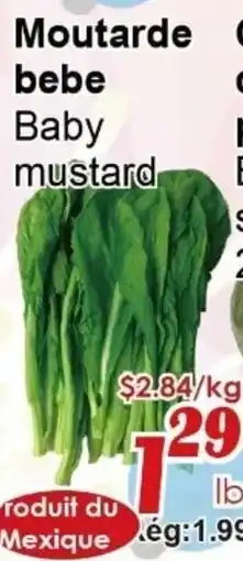 Marche C&T Baby mustard offer