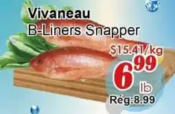 Marche C&T Vivaneau B-Liners Snapper offer