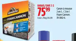 Canadian Tire Armorall foam cannon offer
