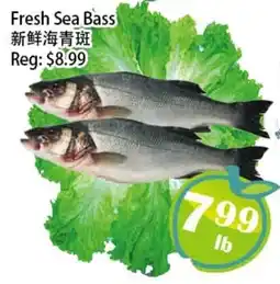 Food Depot Supermarket Fresh Sea Bass offer