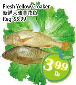 Food Depot Supermarket Fresh Yellow Croaker offer