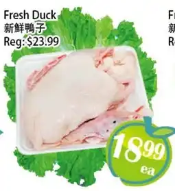 Food Depot Supermarket Fresh Duck offer