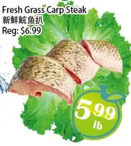 Food Depot Supermarket Fresh Grass Carp Steak offer